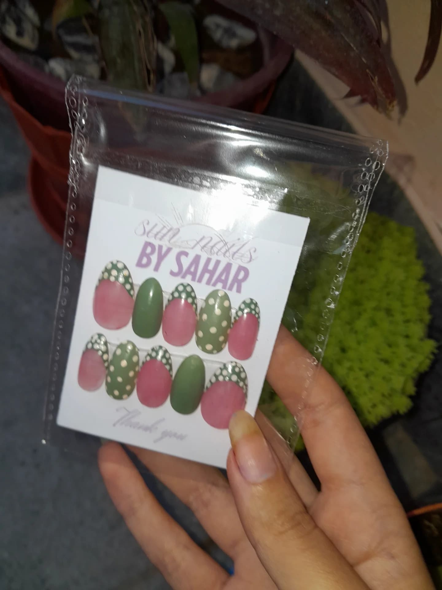 🍃 3