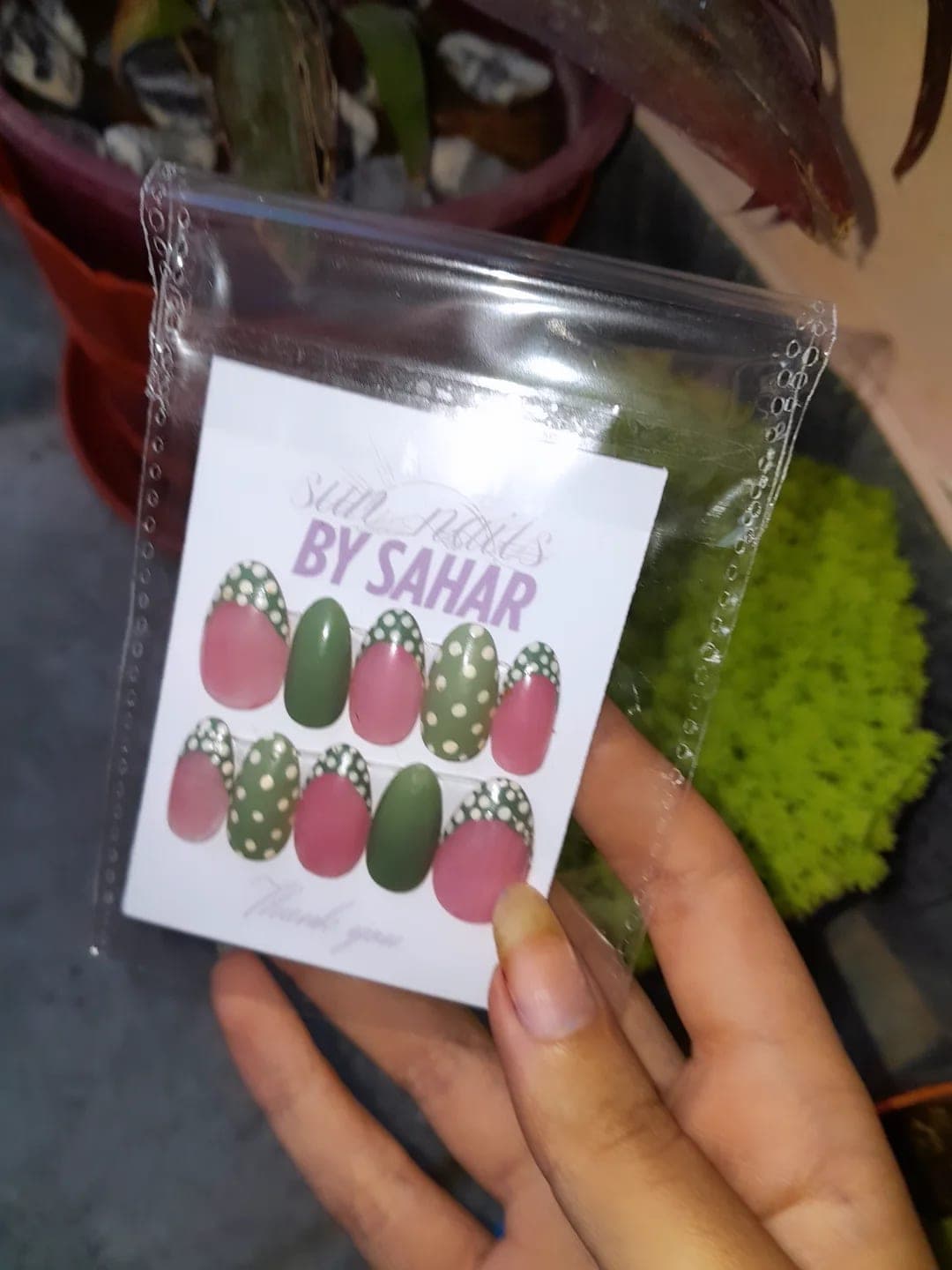 🍃 5