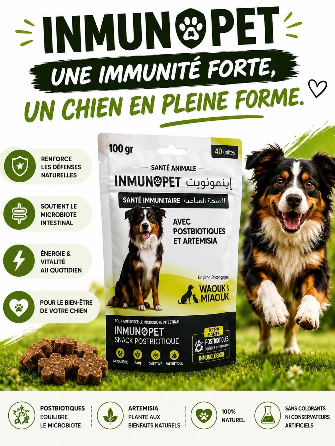 🐶 INMUNOPET | Soutien de l'immunité et de la vitalité du chien 2