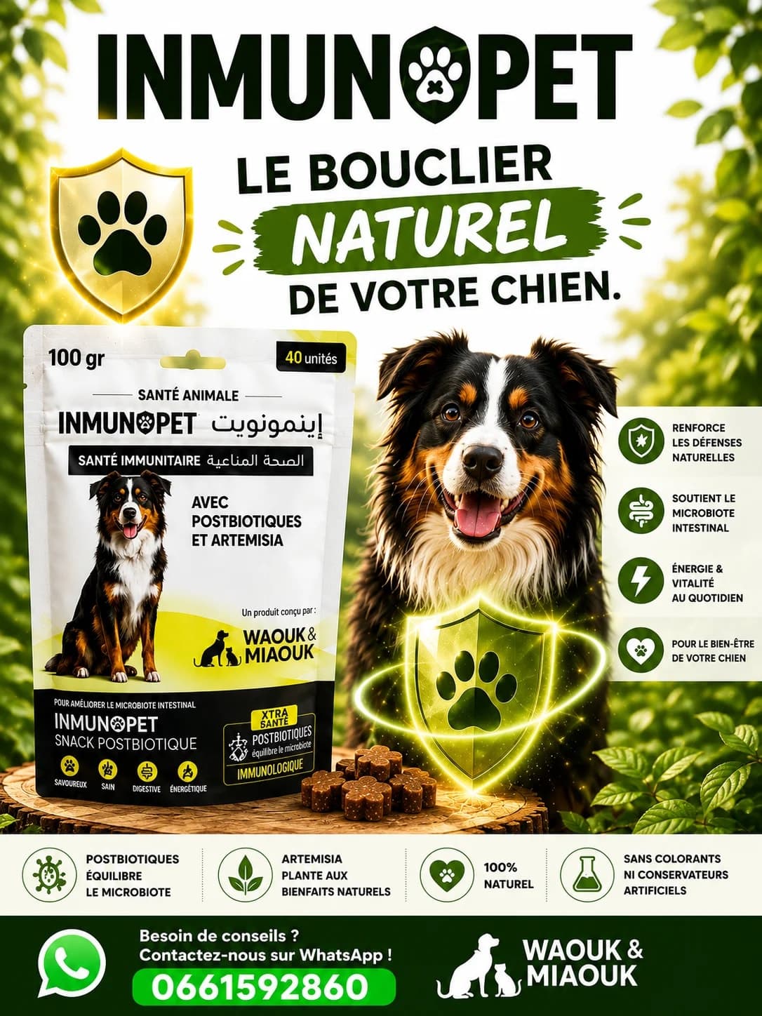 🐶 INMUNOPET | Soutien de l'immunité et de la vitalité du chien 3