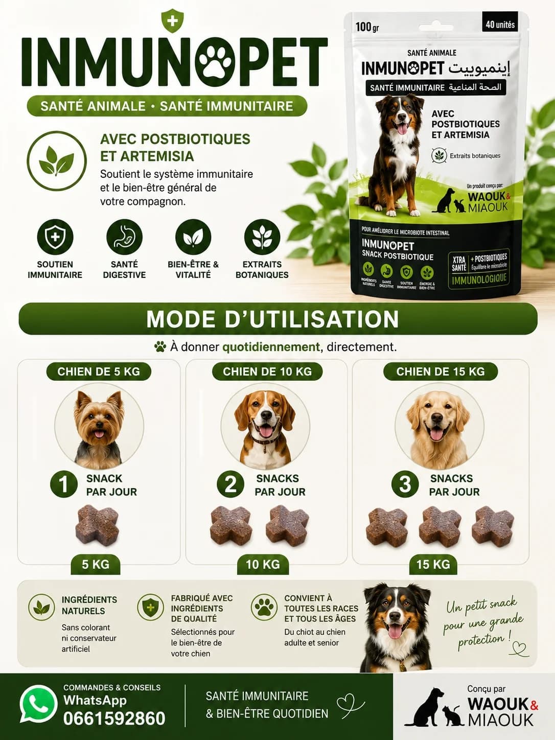🐶 INMUNOPET | Soutien de l'immunité et de la vitalité du chien 4