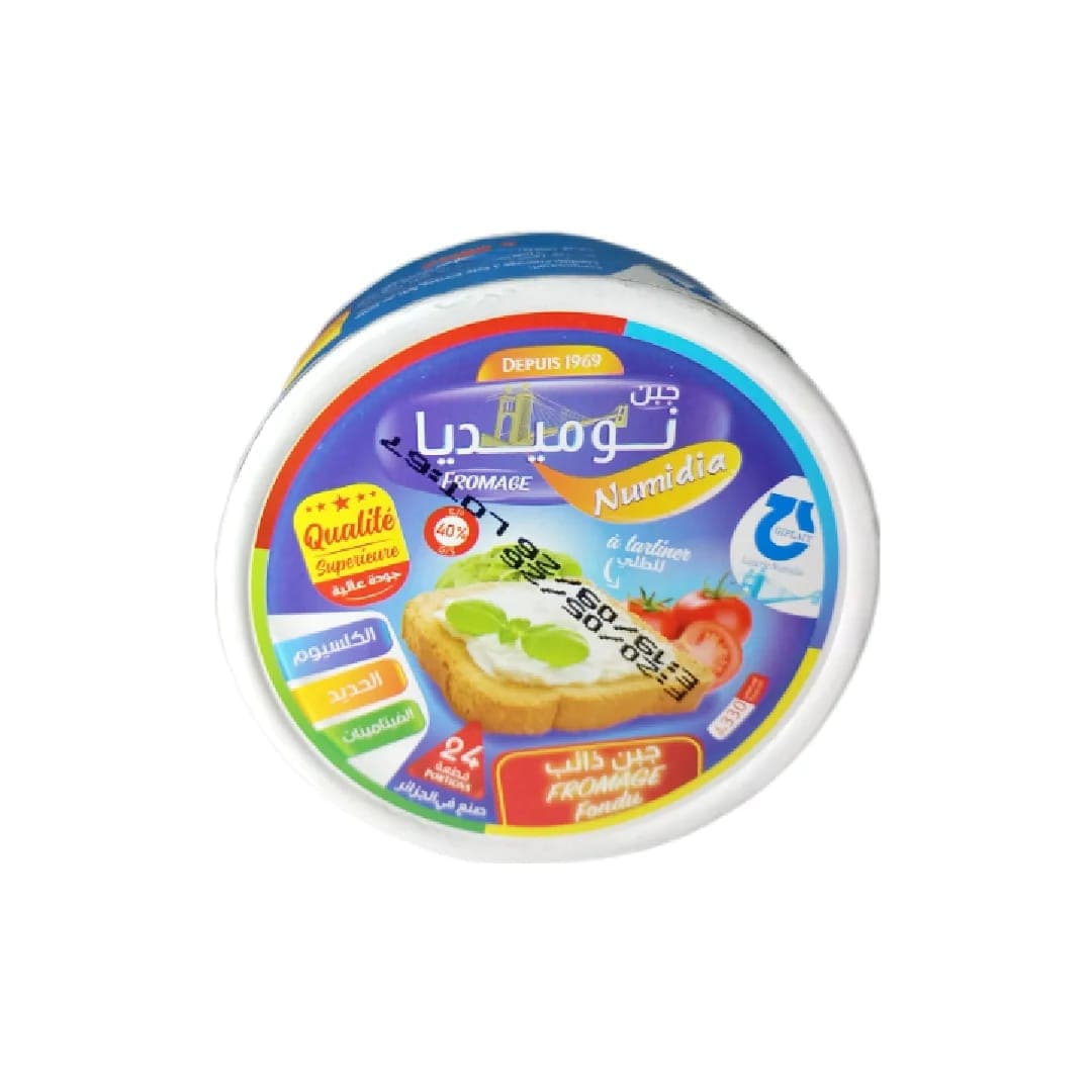 جبن 24 قطعة 