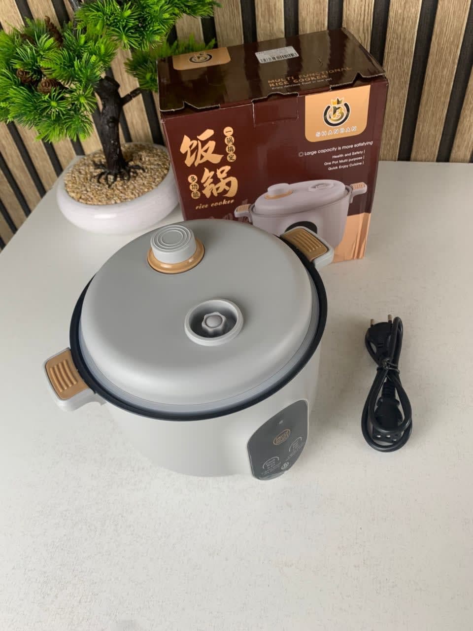 Cuiseur Electrique Multifonctionnel pour la Cuisine 20cm – جهاز طهي محمول