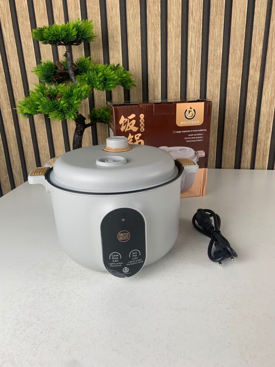 Cuiseur Electrique Multifonctionnel pour la Cuisine 20cm – جهاز طهي محمول 3