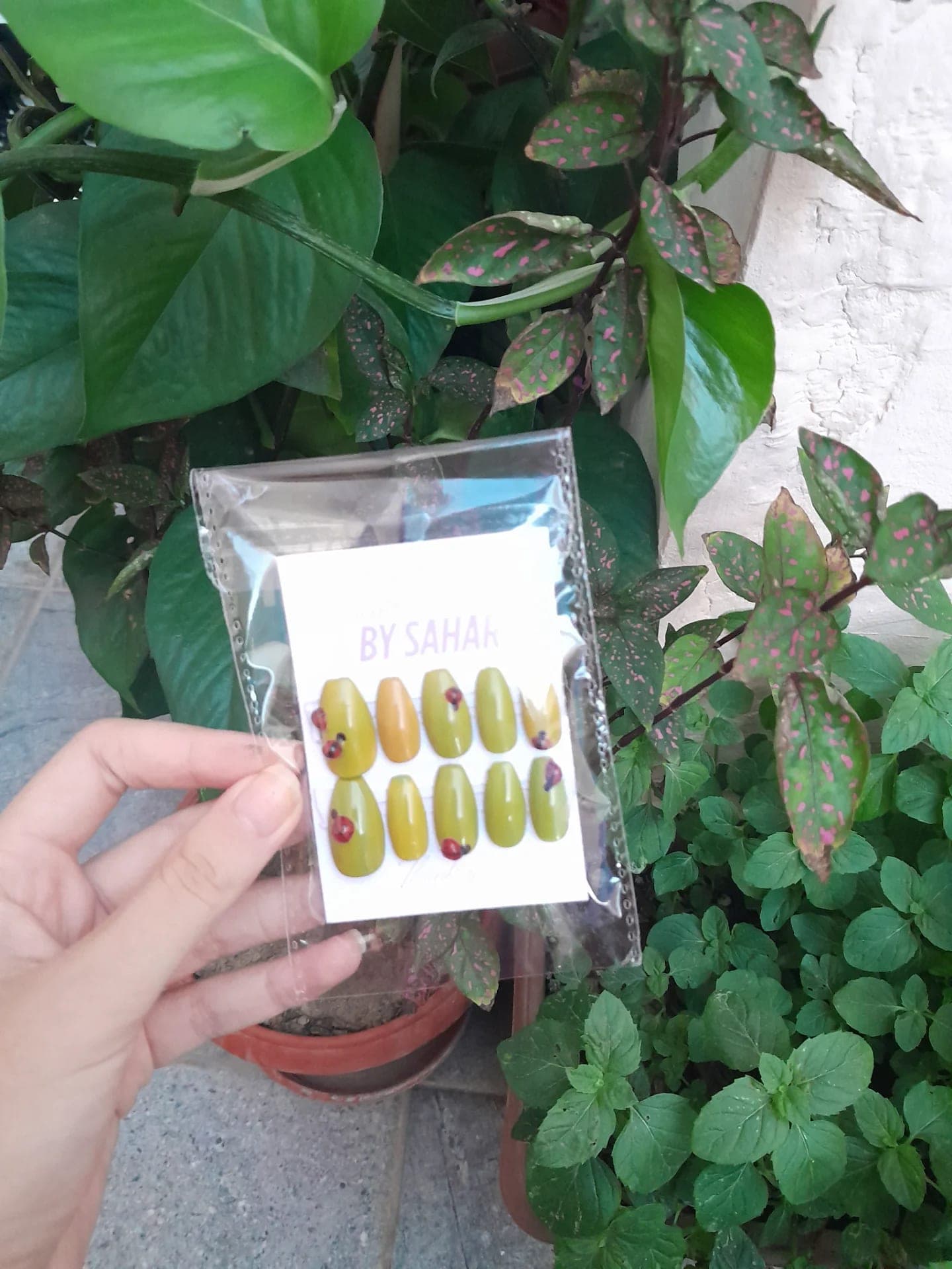 💚🐞✨️ 2