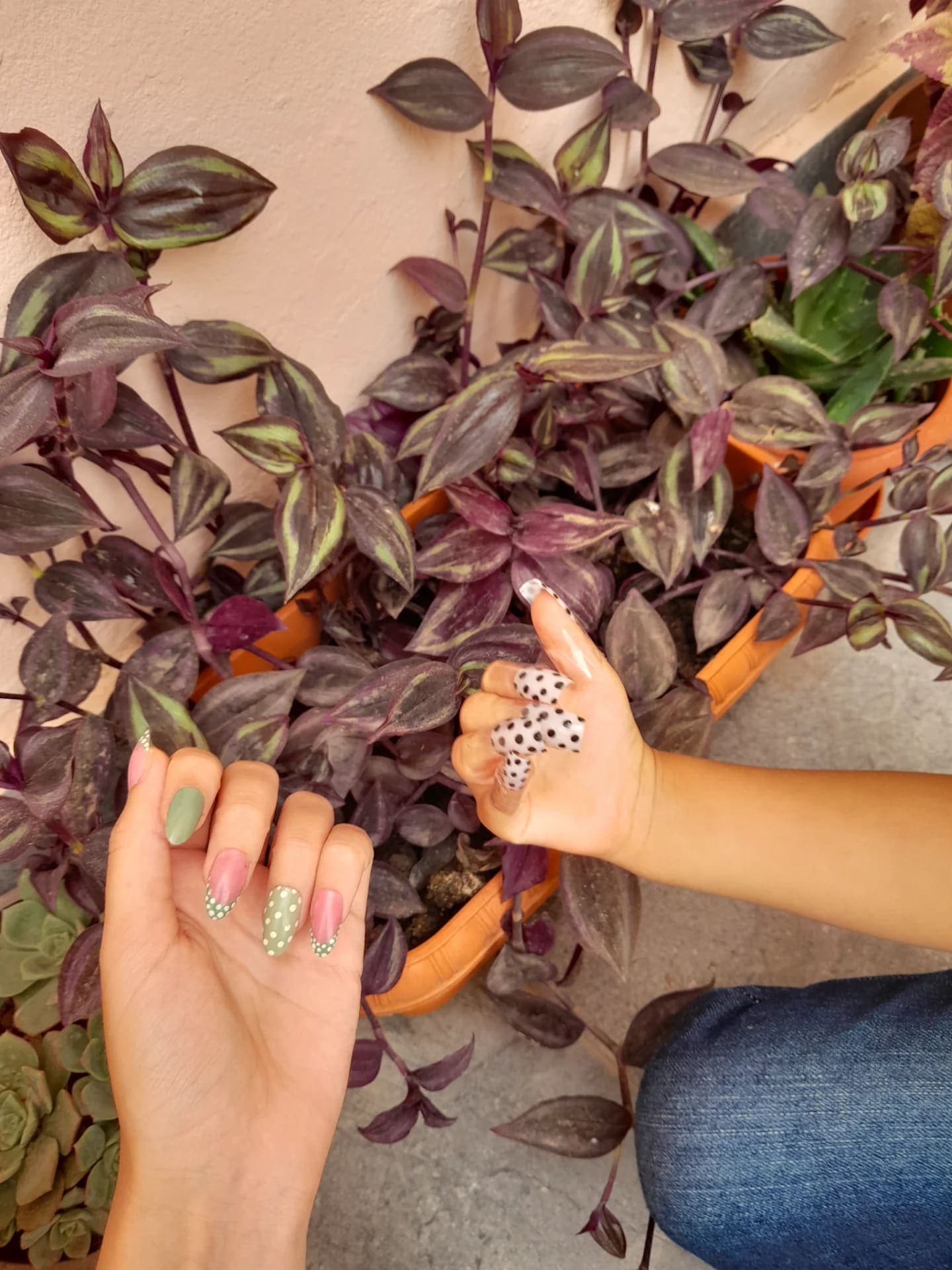 2 press on nails (🍃+🦓🐽) 2