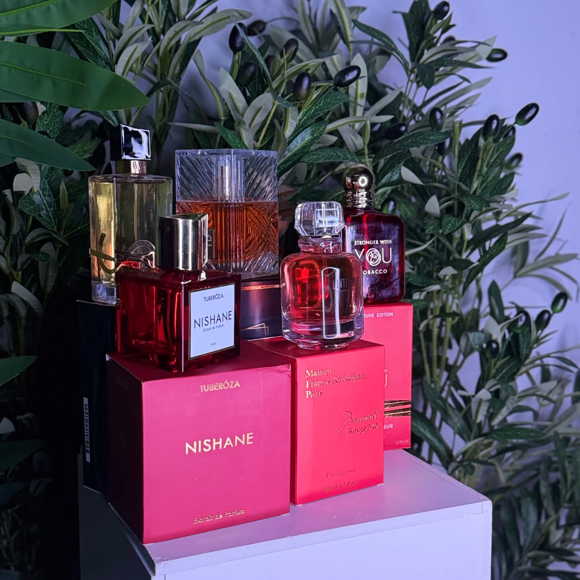 The Fragrance of Luxury ✨