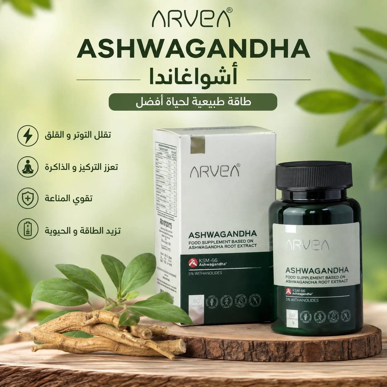 🌿 أشواغاندا ARVEA KSM-66 |  60 كبسولة