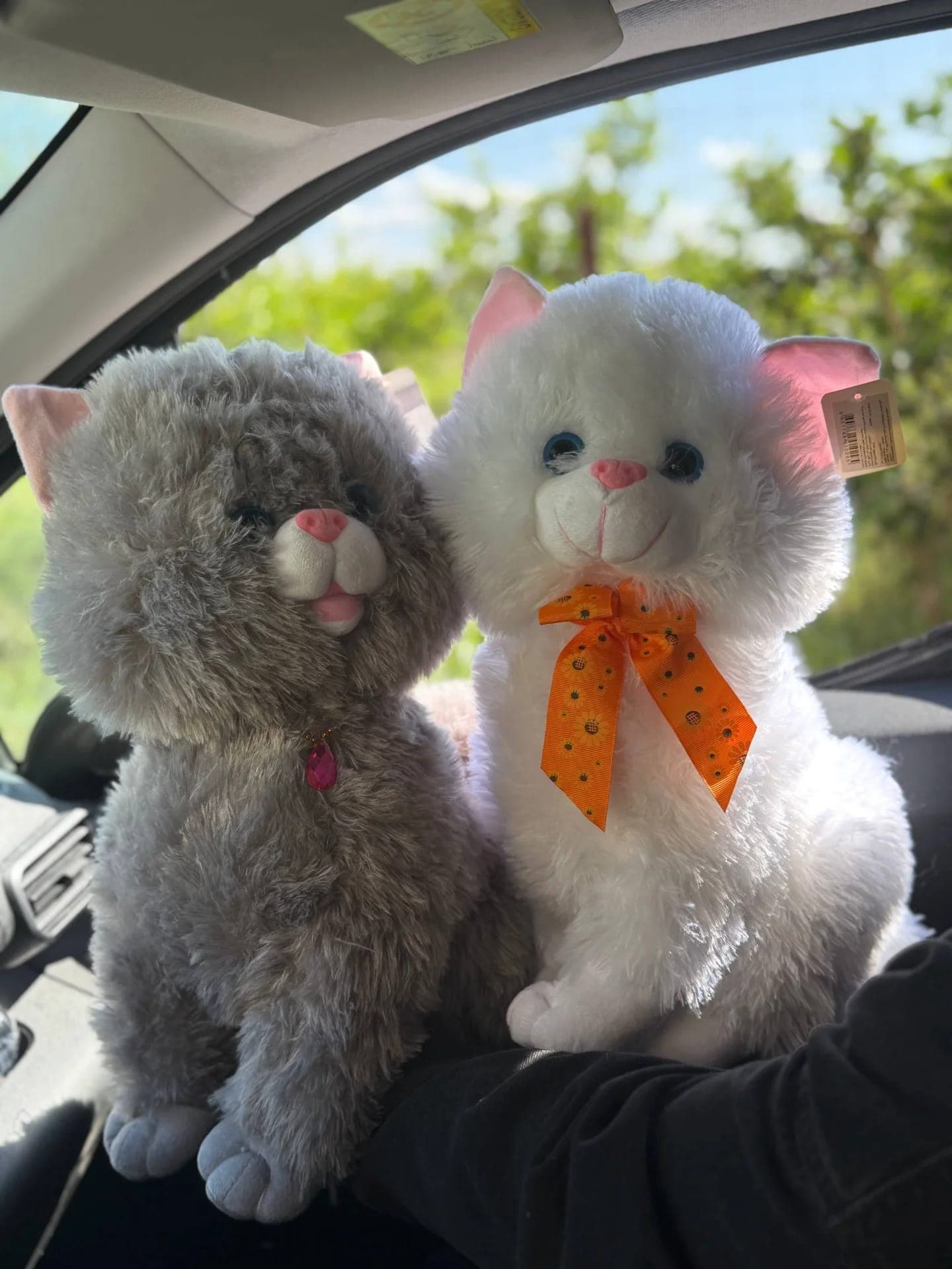 Peluche chat