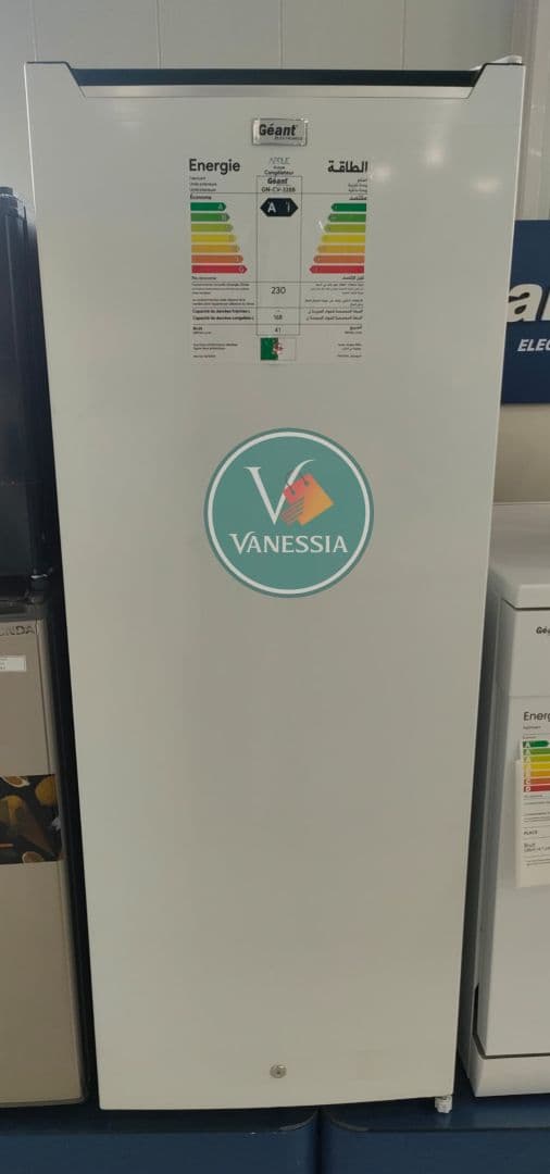 Congélateur vertical 168L marque géant blanc