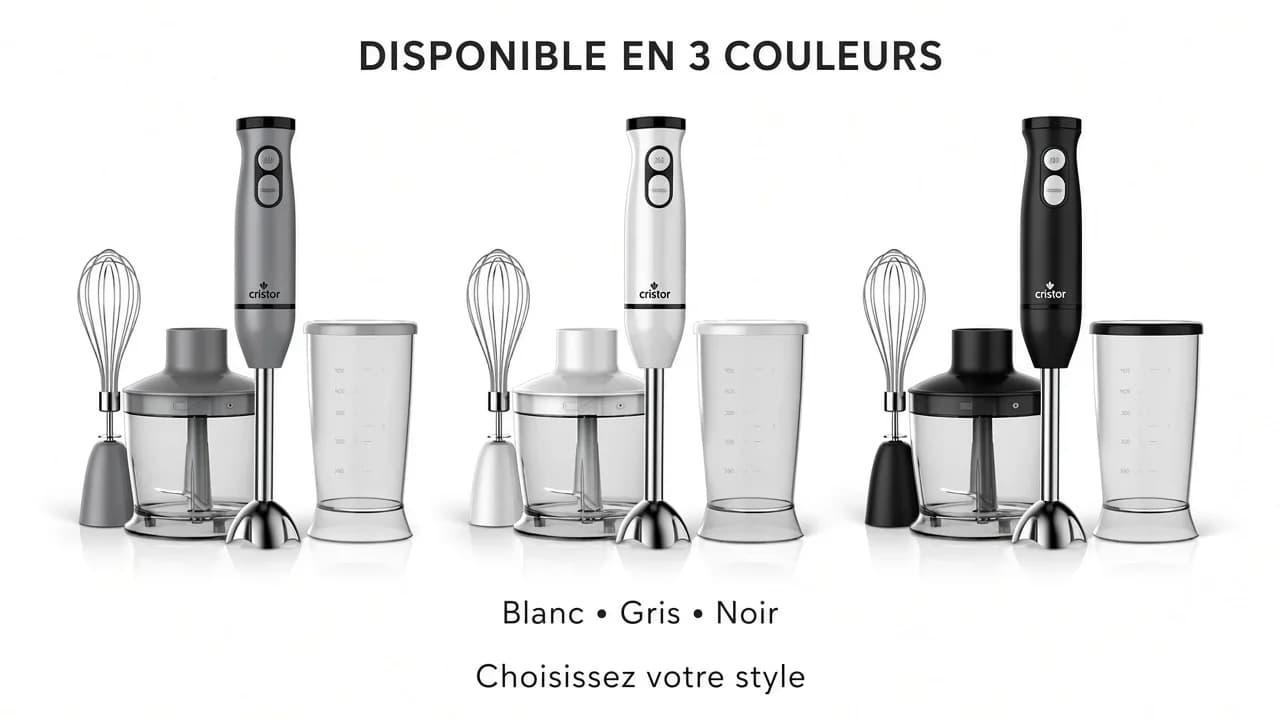 Bras Mixeur 3 en 1 CRISTOR Bras mixeur, Hachoir et Bras Fouet 500 W-500 ML