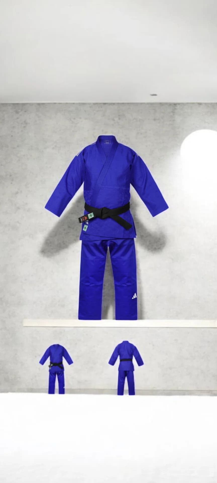 Ensemble judo