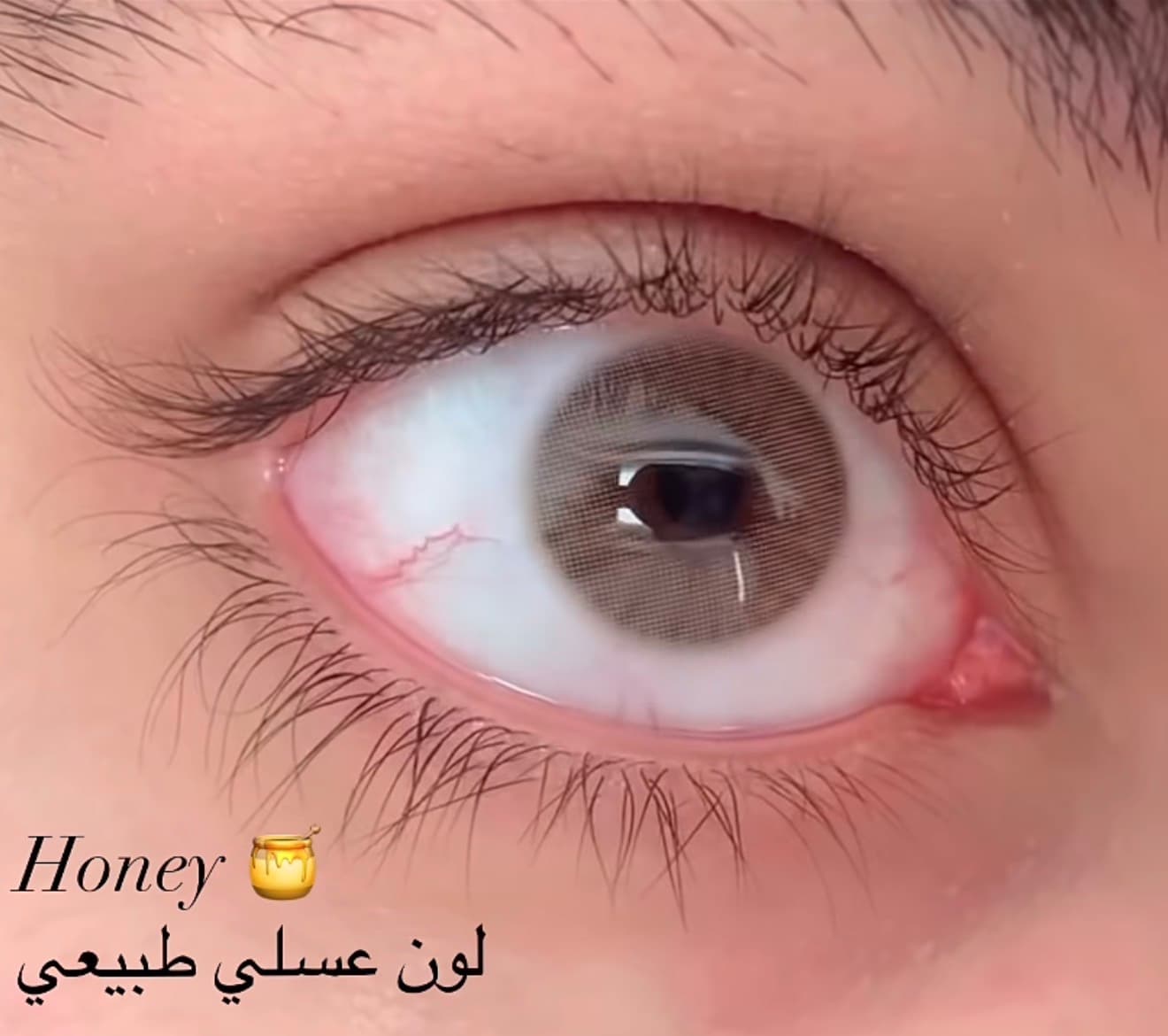 Honey
